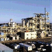 DSM site